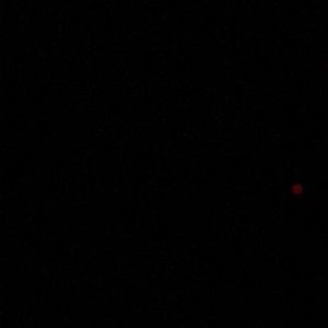 Meet your Posher, Chad